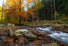 shutterstock_397724686